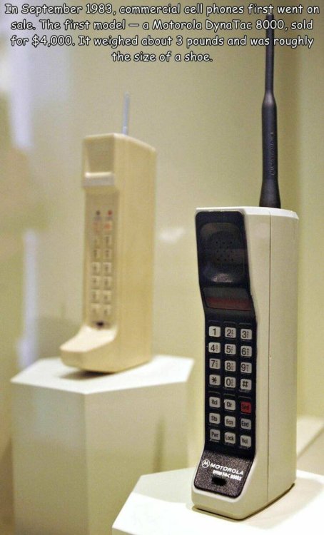 phonefirstcellphone.thumb.jpg.9389e797529fd5d4b0cb5dfb769e5741.jpg