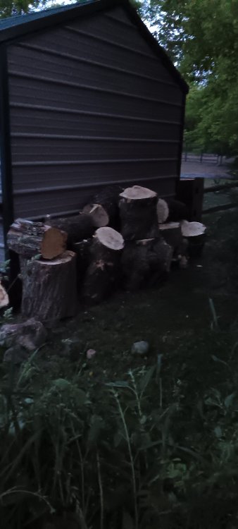 20250613_214516.jpg