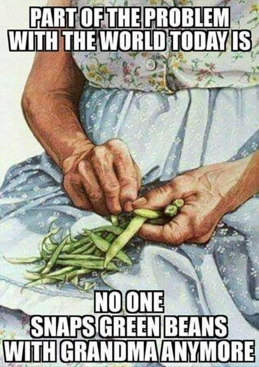 640 snap beans.png