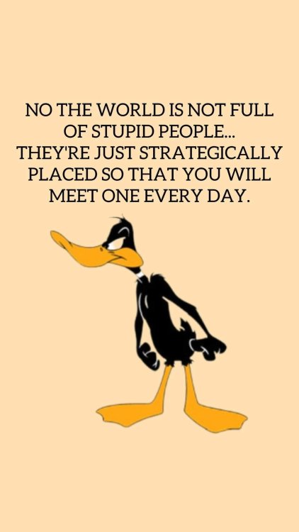640 stupid people.jpg