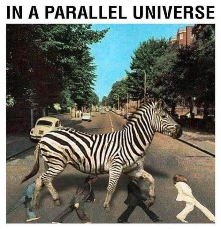 644 zebra.jpg