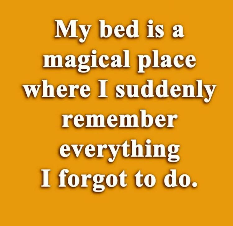 648magicbed.png.9da4c5b86f2b87343c6af50b33be6639.png