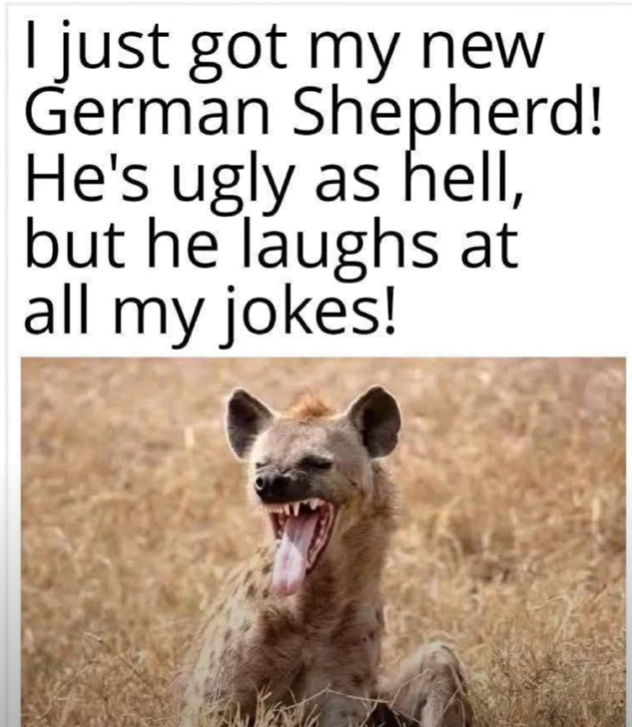 image.png.845f6b3cf01e6b873531fe7a7541091b.png