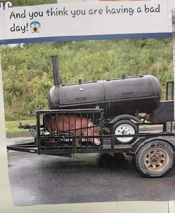image.thumb.jpeg.c7c40295ab36653316187b1559527118.jpeg