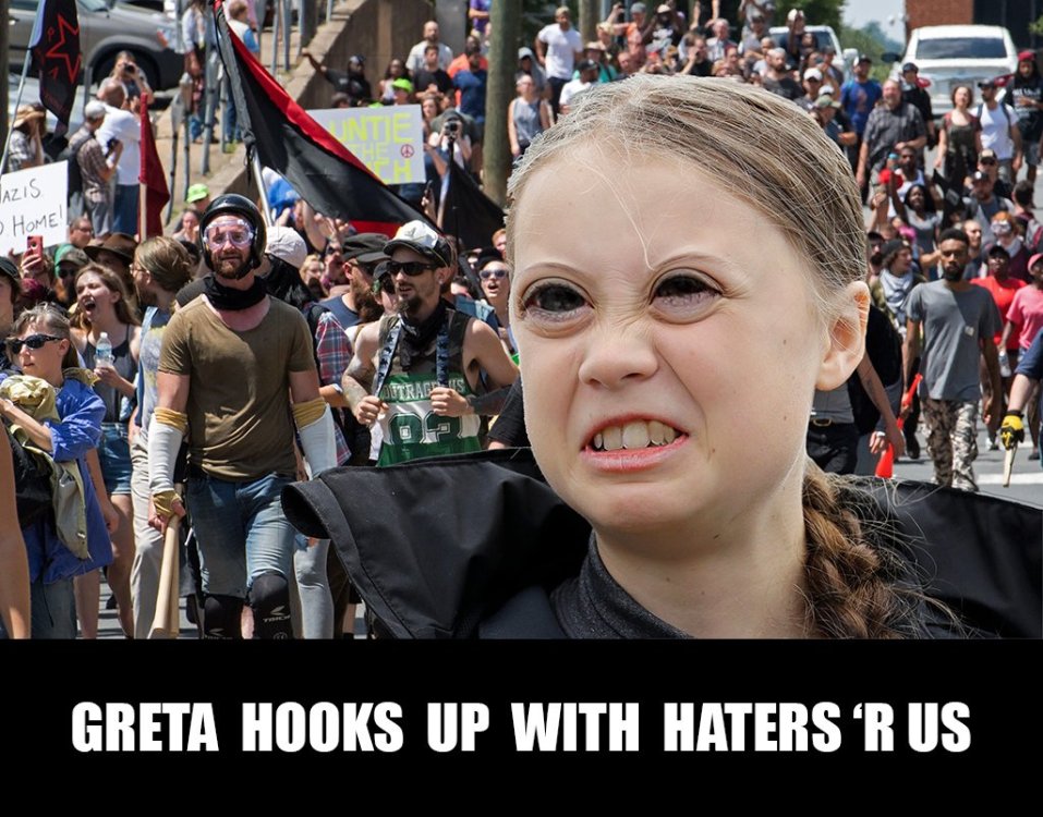 meme.celebrity.greta.thunberg.006.hooks.up.haters.are.us.sfw.jpg