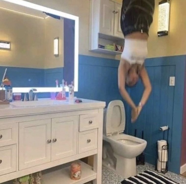 toilet-diving.thumb.jpg.dbe40388554ade36747a182afa688eb9.jpg