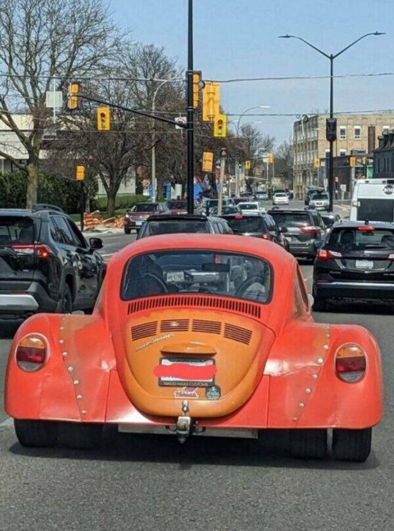 648 wide-bug.jpg