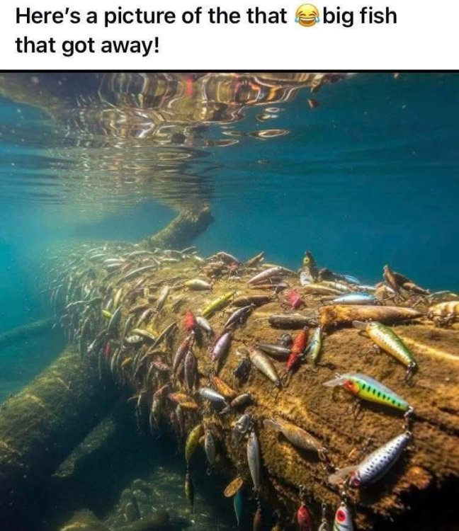 FB_IMG_1751826561081.thumb.jpg.eee606298a4e75de920b4186a1f3b6b7.jpg