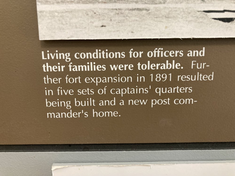 image.thumb.jpeg.77f2654f1e07e742d148a518f4f0a9a7.jpeg