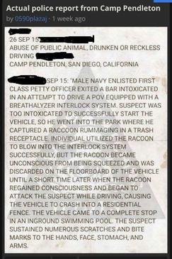 policereport.jpg.185bd490c932f8fcfddaa3696a8ffcb9.jpg