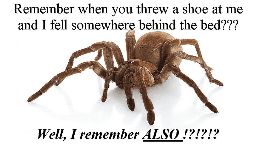 529440214_783977494138967_3860281066381412206_n.jpg.fef41437f2af793ae108b6d804c516d9.jpg