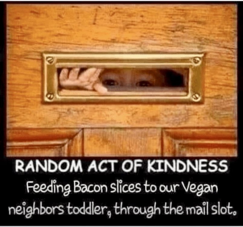649actofkindness.thumb.jpg.8608813482f6e21987f203223755d5cc.jpg