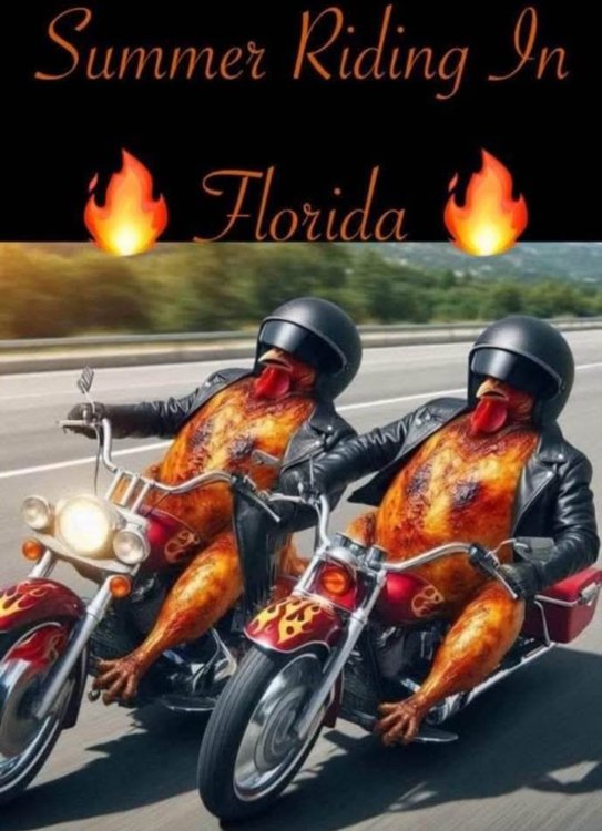 659Floridabiker.thumb.jpg.f66a93a224ccca317f0c8f010610d1d2.jpg