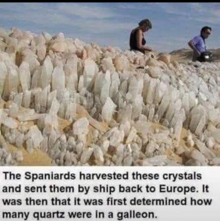 660 quartz gallon.jpg