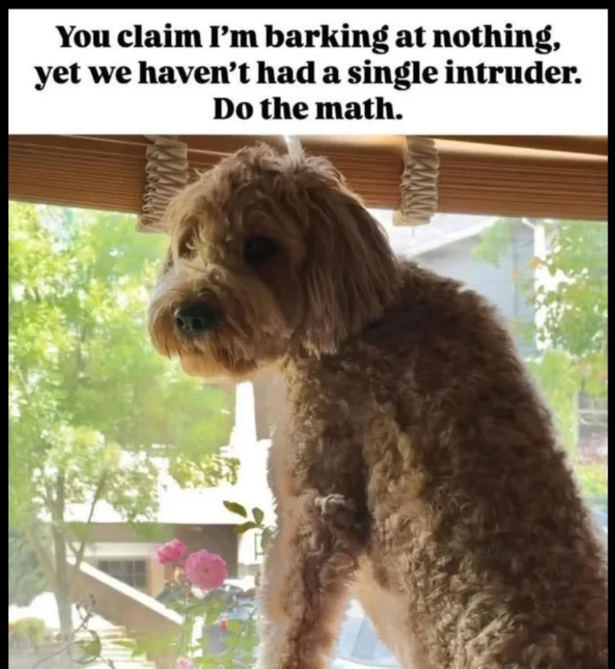 668 dog barking.webp