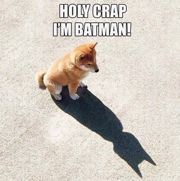 Batman.PNG