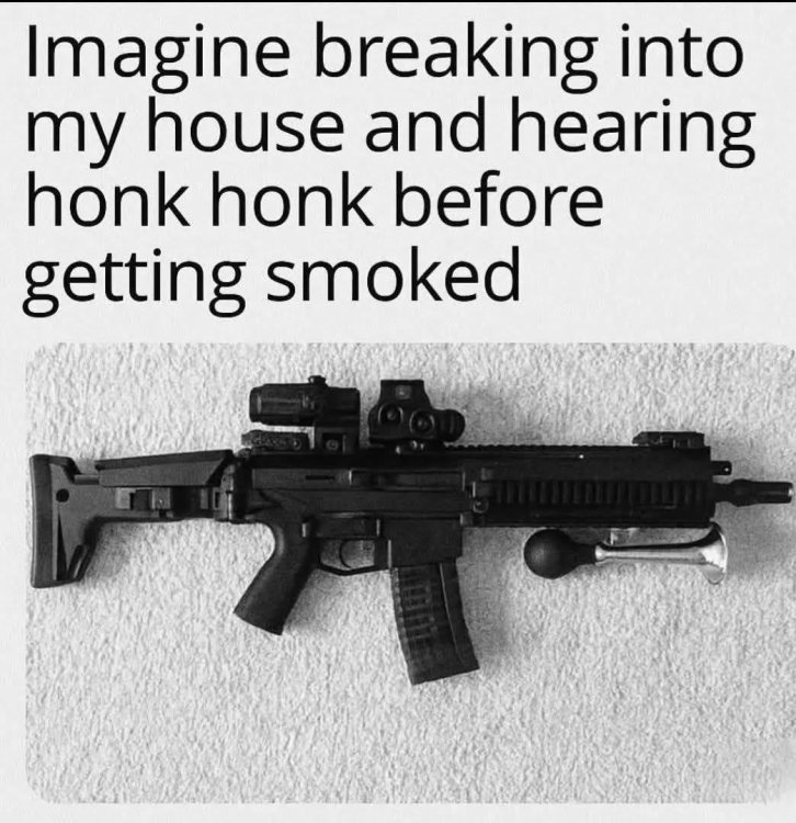 HonkHonk.thumb.jpg.7baae80e992eb605f17d6a8e87f06af4.jpg