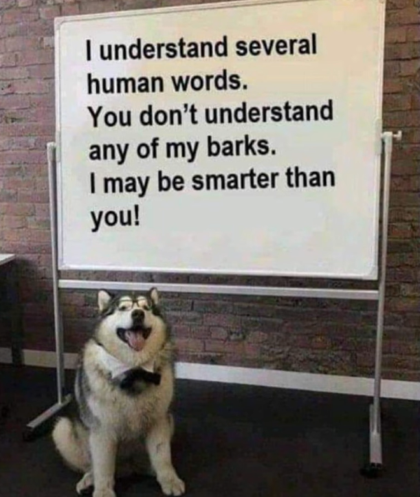 image.png.69aac9fdabb1d3d8399c5ae523e1bc1c.png