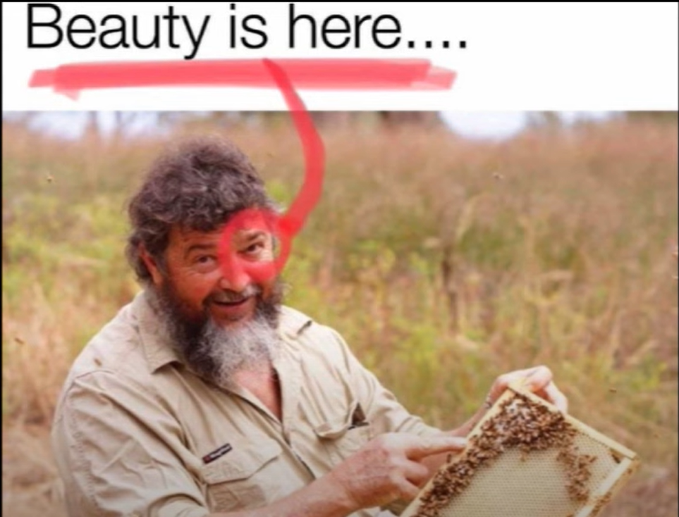 image.png.89a25762bd1d3293513b63b208f52351.png