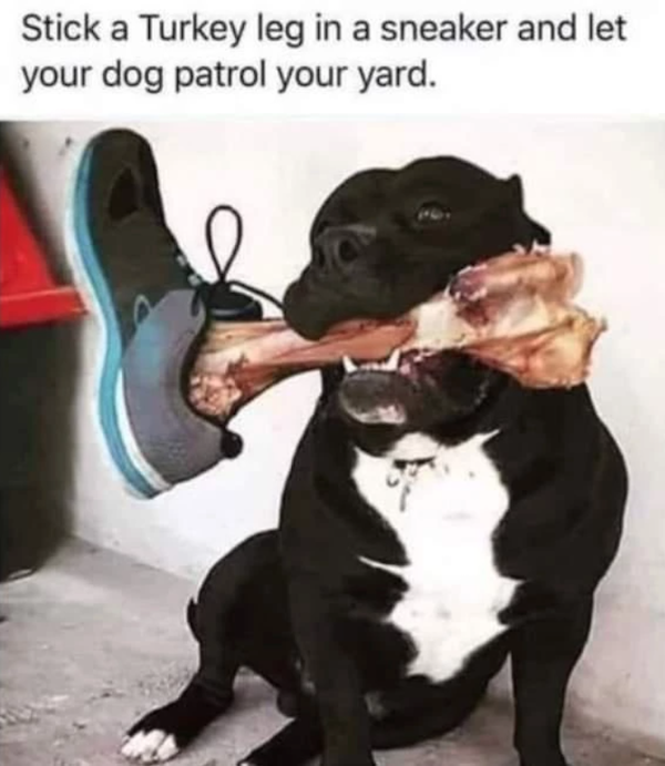 image.png.bcdee7ff5893100557a67b05d0f65f68.png