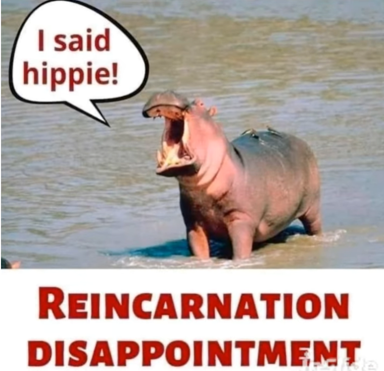 image.thumb.png.2b77a8d7db447409117b0389cd9f2a4f.png