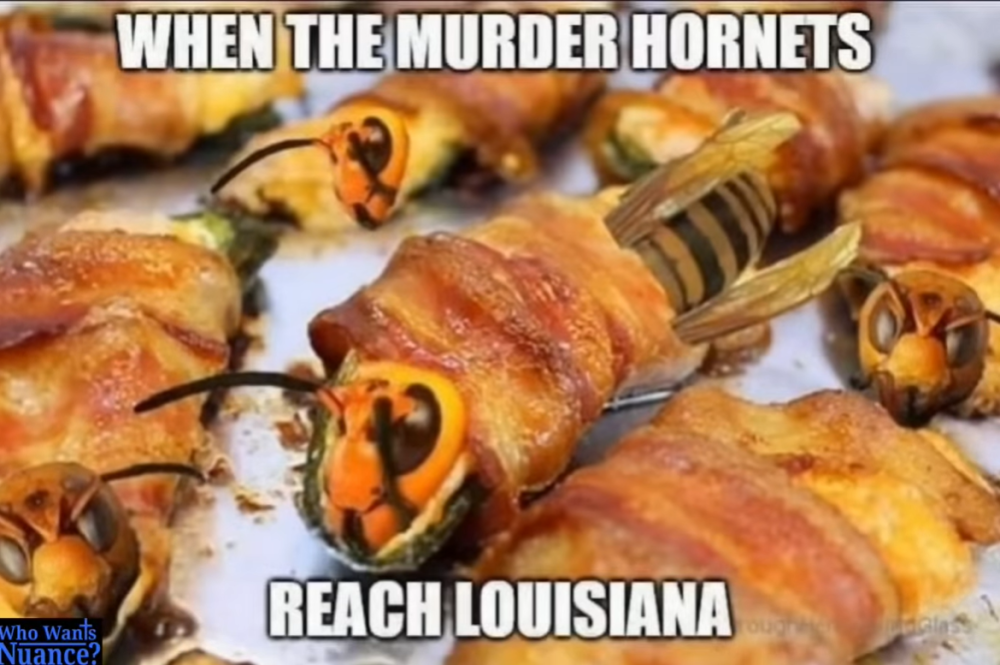 image.thumb.png.f8d3c6eb91ffa228457243ad0bb19798.png