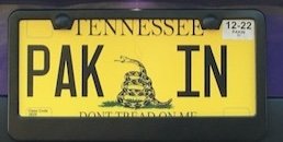 pakinPlateHardware.jpg.b69d8e16119cc260f39340fb0a5c8cb4.jpg