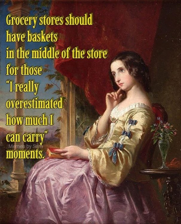 660 shopping basket.jpg