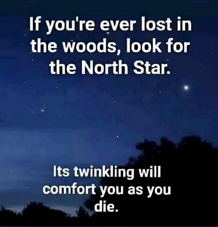 661 North star.jpg