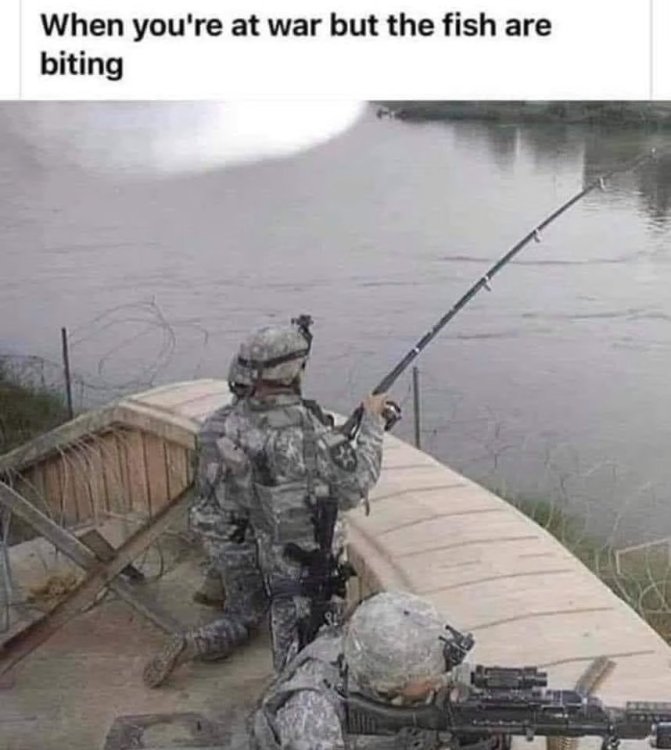 665 fishbiting.jpg