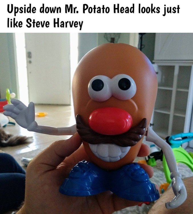 SteveHarveyMr.PotatoHead.thumb.jpg.a7a78e6d0dab77536e74fbc8a957c1b9.jpg