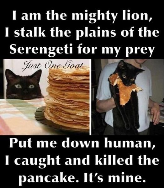 image.jpeg.d4291590d2c391f5e5247b3db0decc82.jpeg