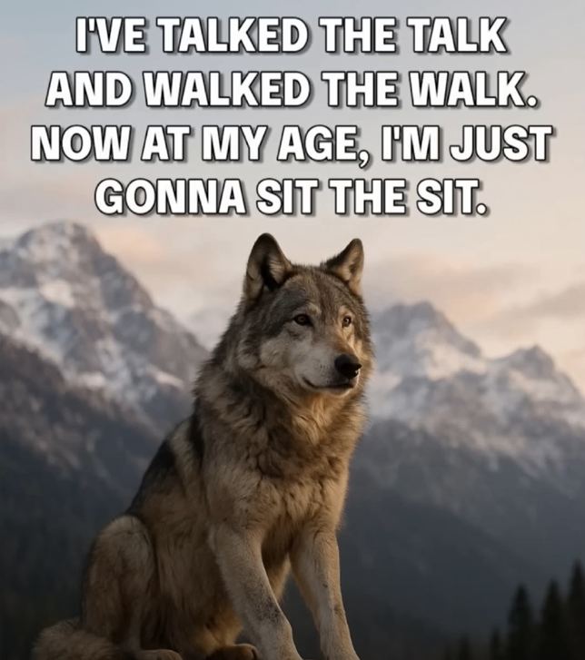 image.png.3832605d81d2873ccaccf7f33d6ee289.png