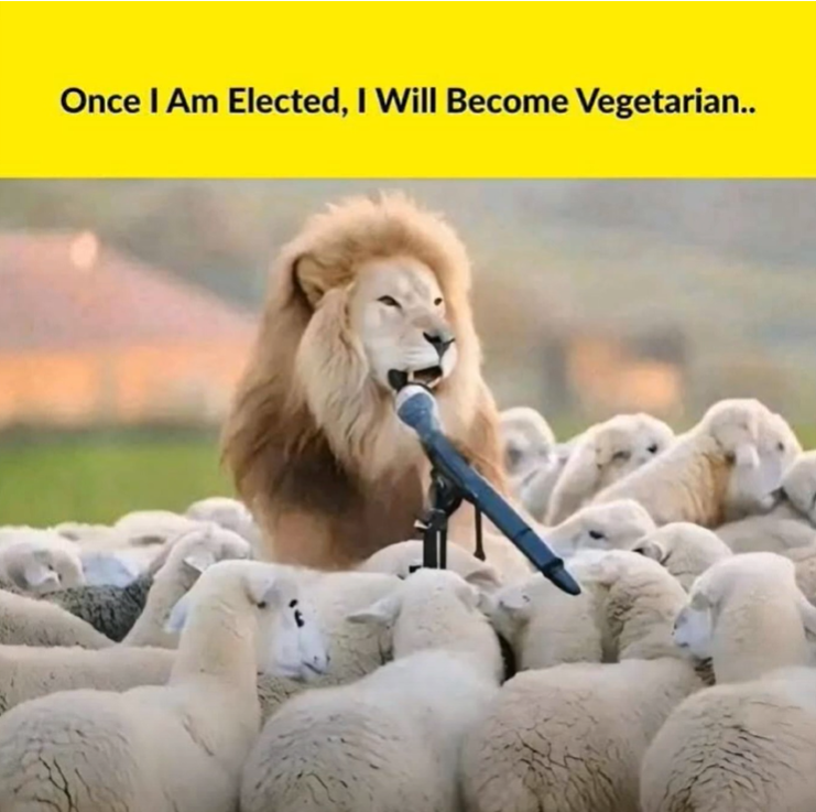 image.png.61ca4f62879a4abc18ac1407bdca01ac.png