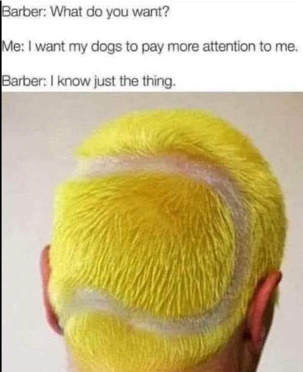 image.thumb.png.8fc7130b68fcbae60732547ce8f6fcfc.png