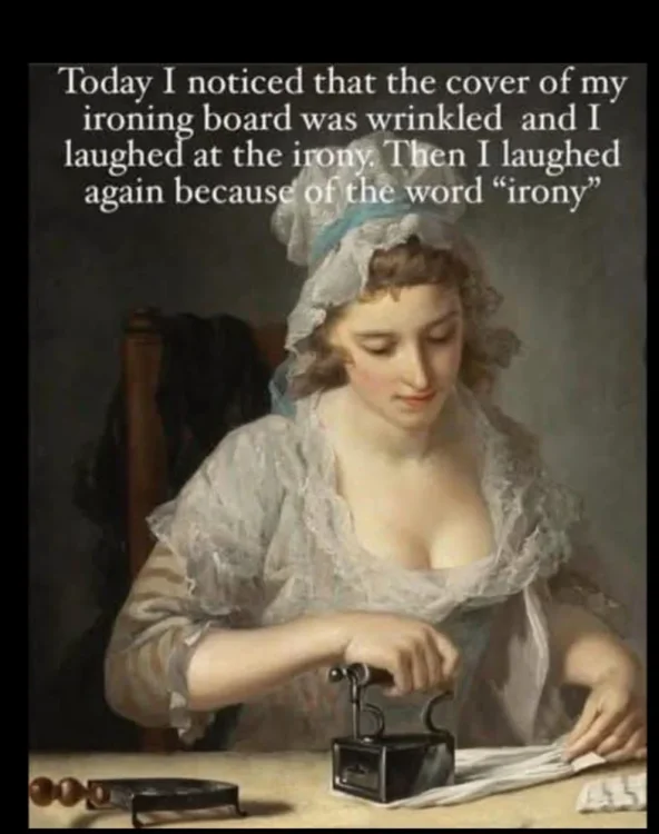 668 ironing irony.webp