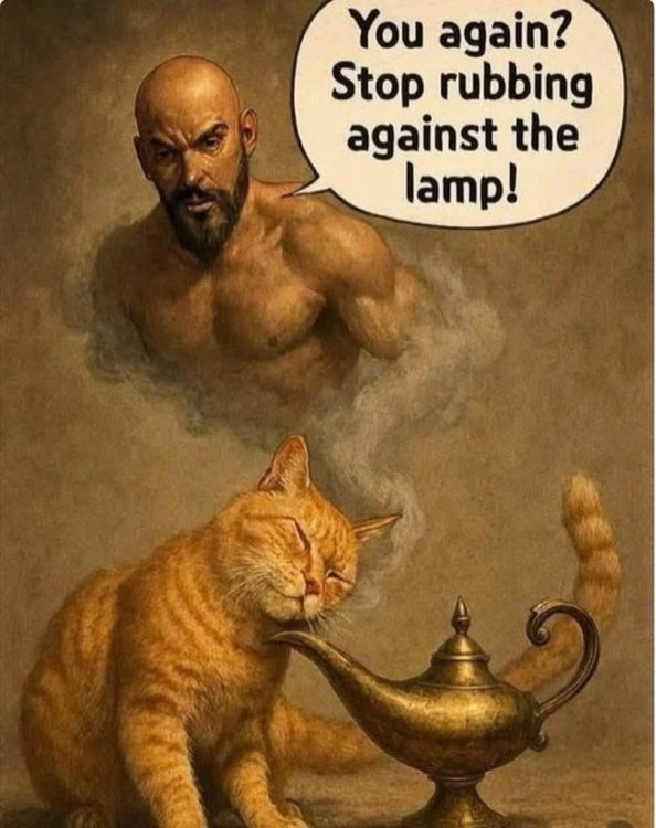 image.jpeg