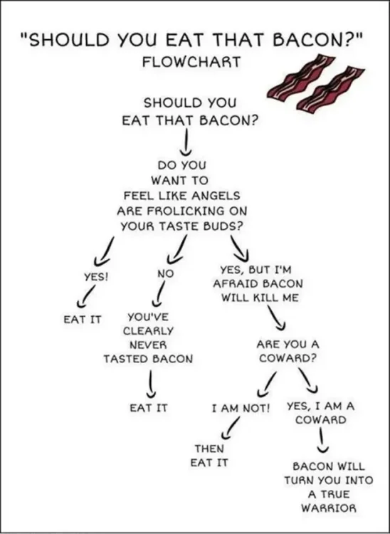 675 bacon flowchart.webp