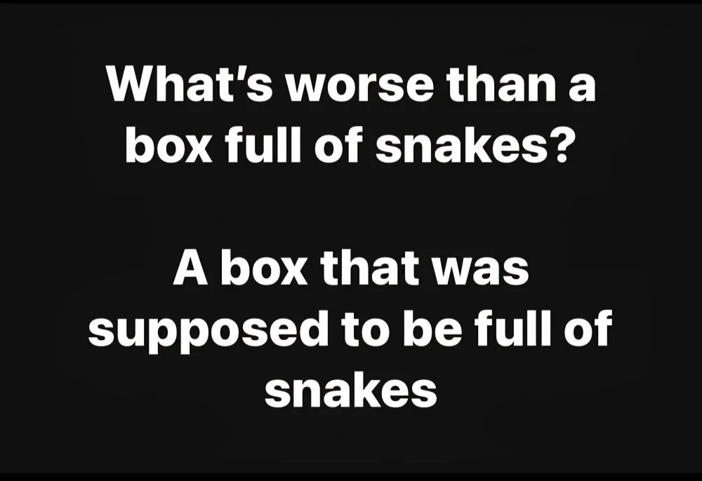 677 box of snakes.webp
