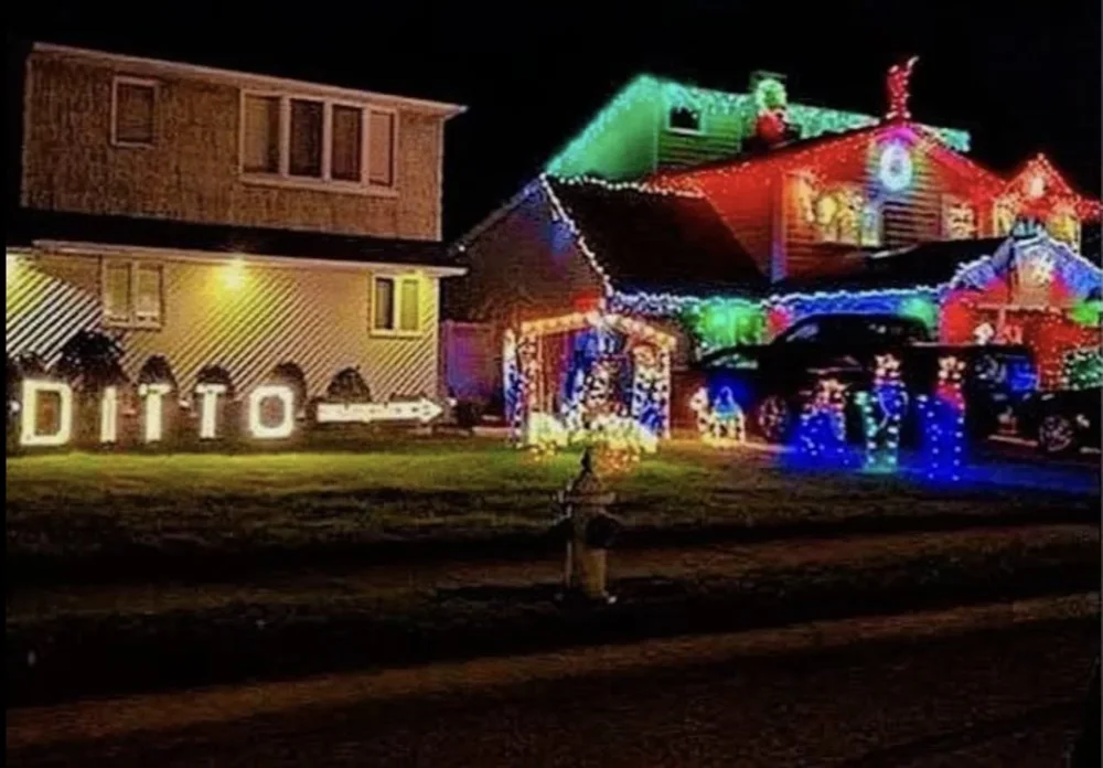 697 Christmas lights.webp