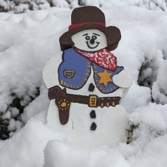 Dogmeat Dad, SASS #48563L