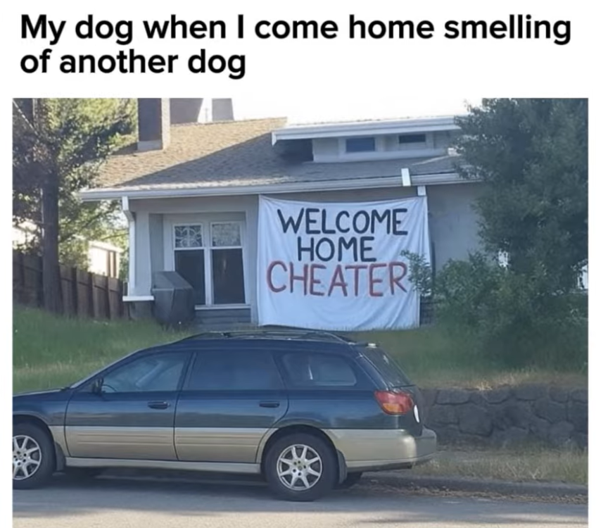 image.thumb.png.61e3e0b9685f736c66cfca10efed27fe.png