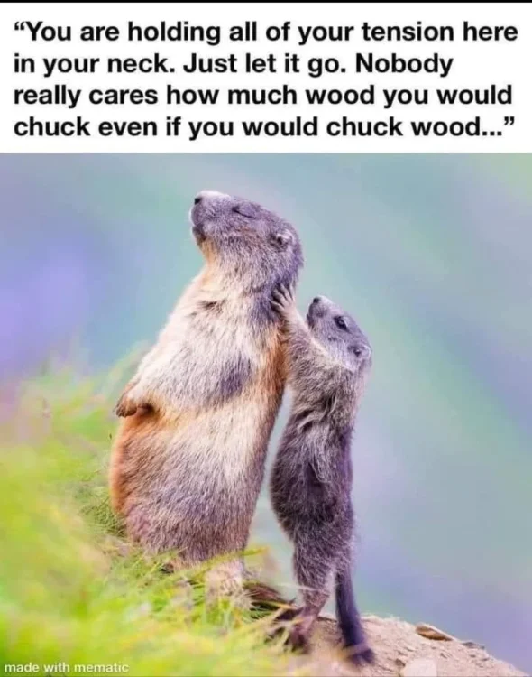 712 woodchuck massage.webp