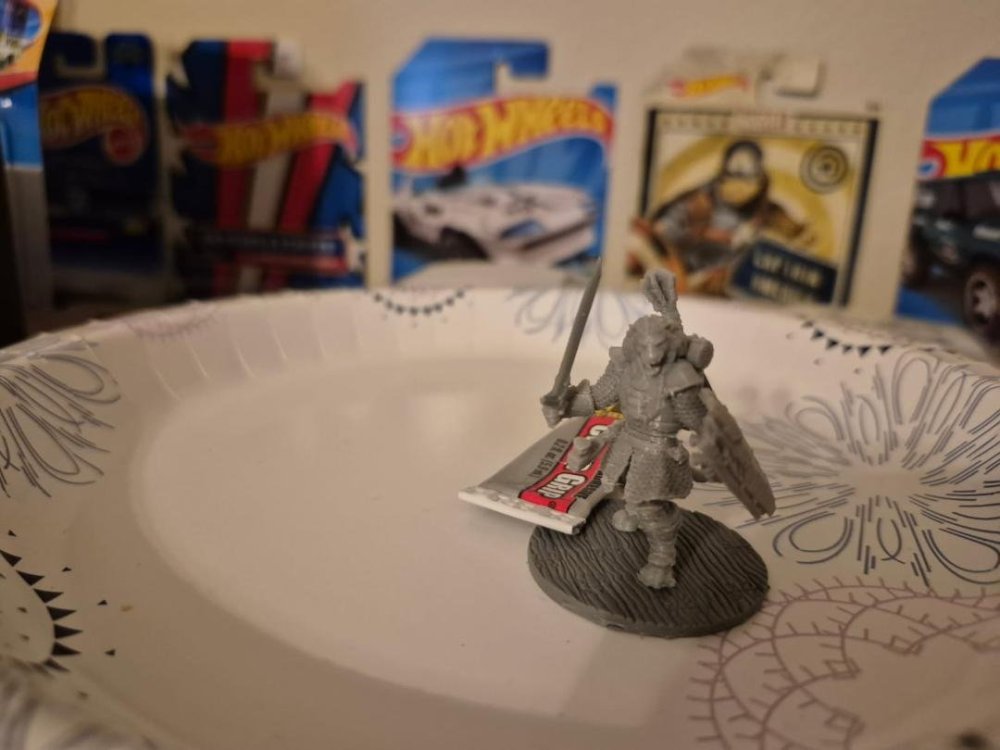 FDM Leonin.jpg