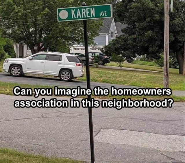 IMG_2663.jpeg.8aaeac003a4b088e409d9537339f1c5a.jpeg