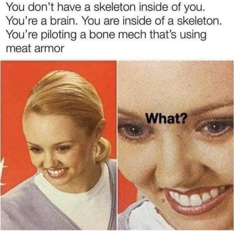 image.thumb.jpeg.0c7be85d656024147c2c3301e9fb7c4b.jpeg