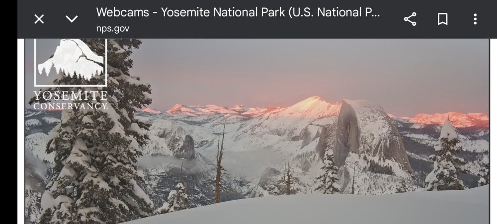 Screenshot_20260220_174536_Chrome.thumb.jpg.ca58104cffc1b8ba9e3e6a1959edc541.jpg