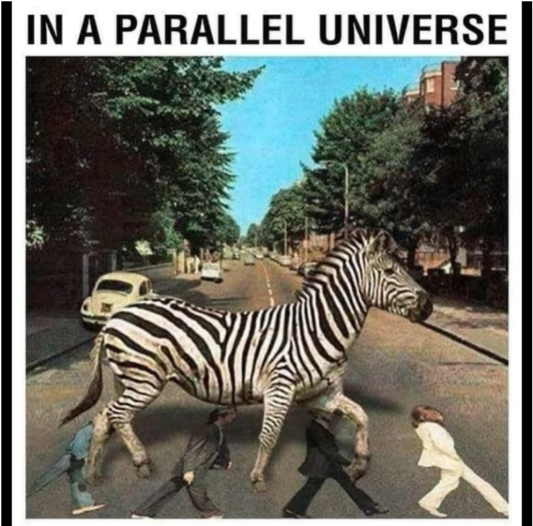 image.thumb.png.223b57eb50df08fa87008c66dc391c15.png