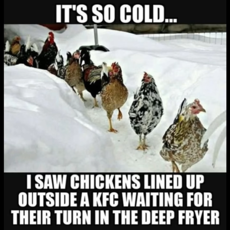 image.thumb.png.2c393071166d3da52a5bf3455b9cbee1.png