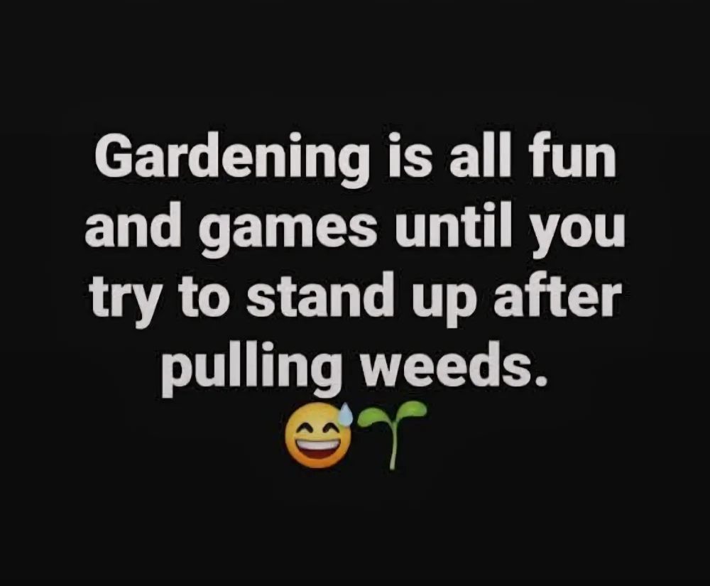 111732gardening.thumb.webp.a32368b15426ab743a60544cada4694f.webp